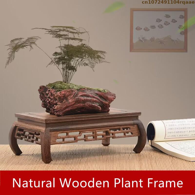 Premium Wooden Bases Bonsai Ho - đánh giá và giá Coffee Tea Display