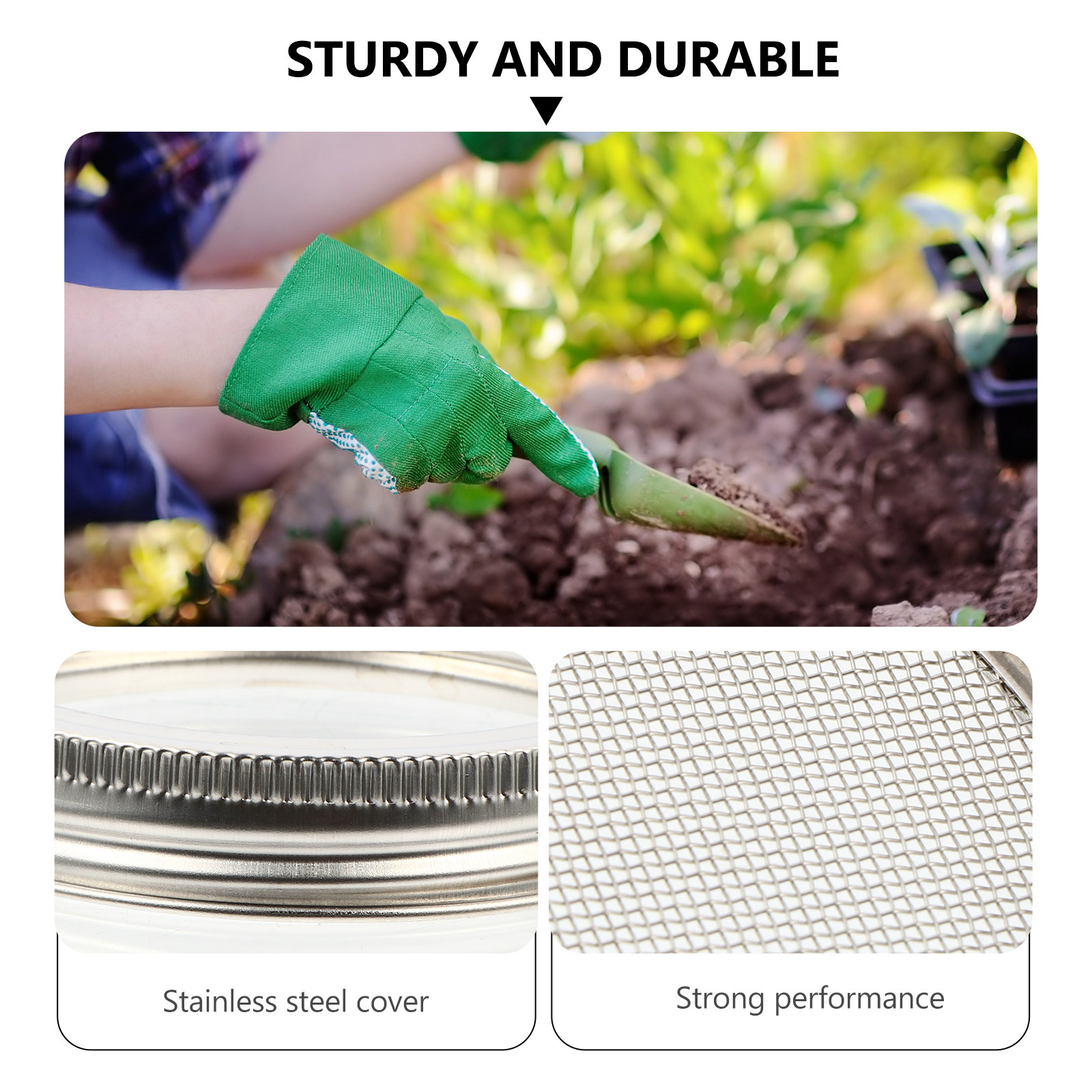 3Pcs Stainless Steel Sprouting - đánh giá và giá Coffee Tea Jars